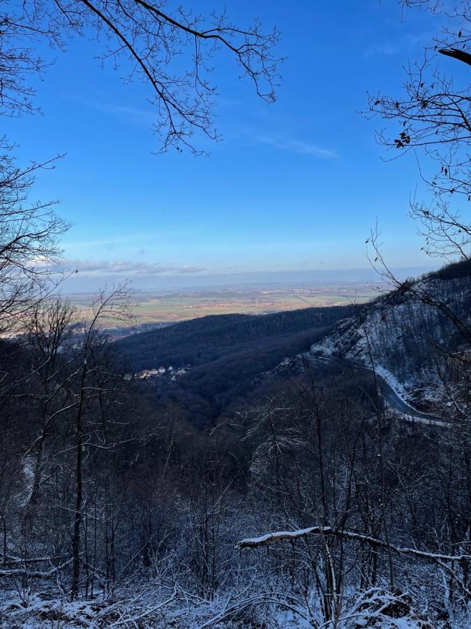 Wanderer Unterkunft Am Hexentanzplatz O Thale Buitenkant foto