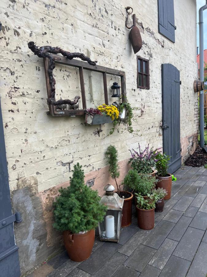 Wanderer Unterkunft Am Hexentanzplatz O Thale Buitenkant foto